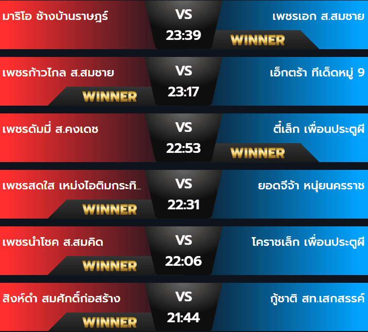 ผลมวยวันเสาร์ 24 สิงหาคม 2567